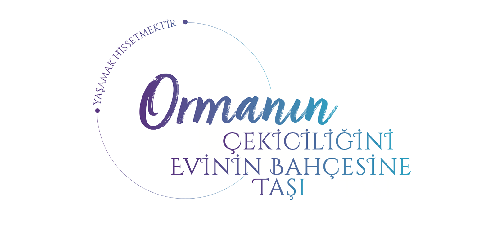 ormanin